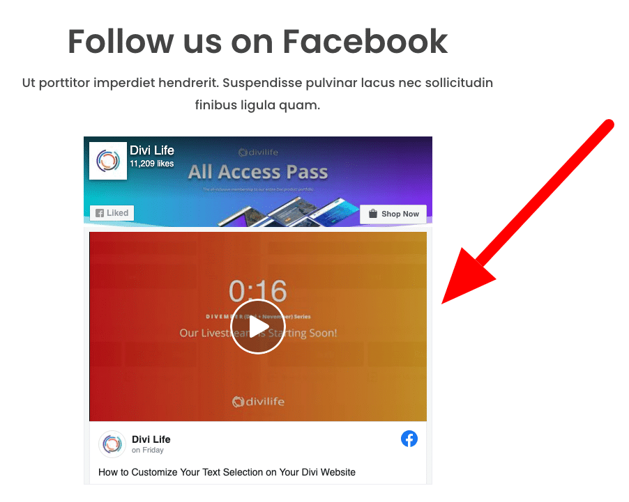 How to Add Facebook Feed to Divi WordPress Sites Easily (2024)