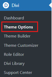 Accessing Divi Theme Options
