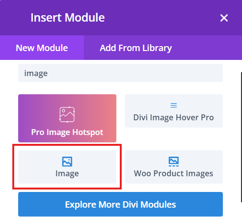 Divi’s native image module