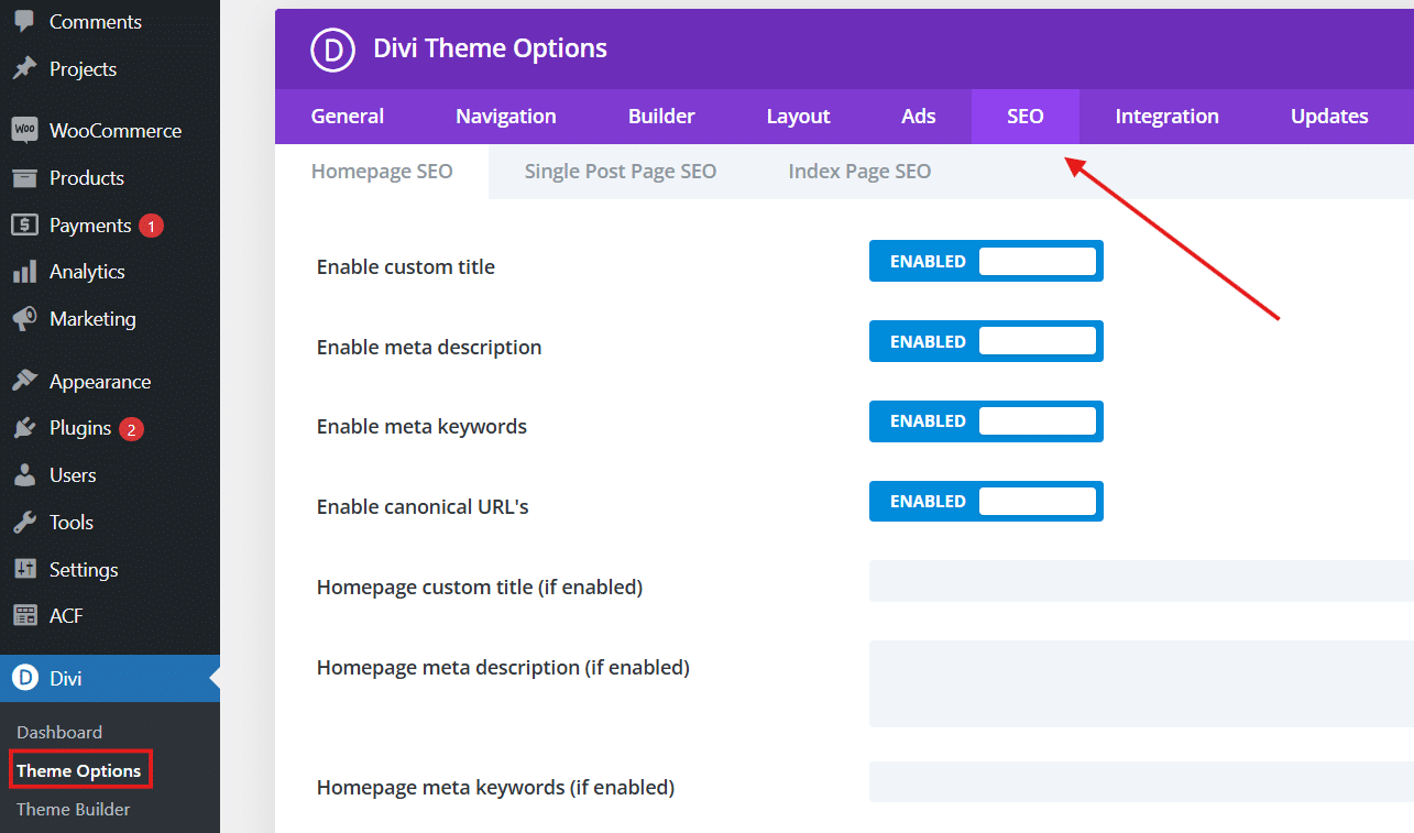 Divi SEO settings