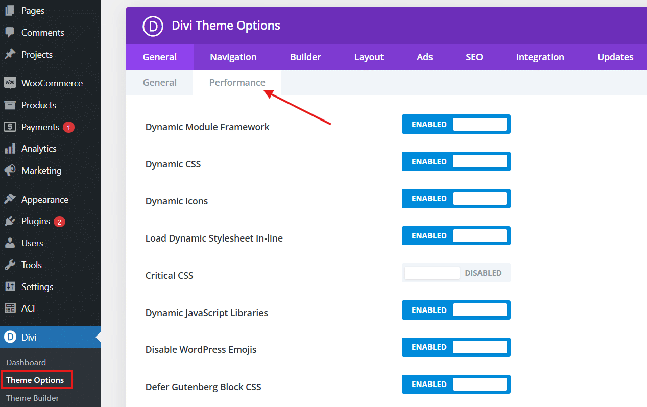 Divi Theme Options