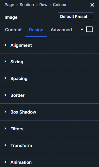 Divi styling options