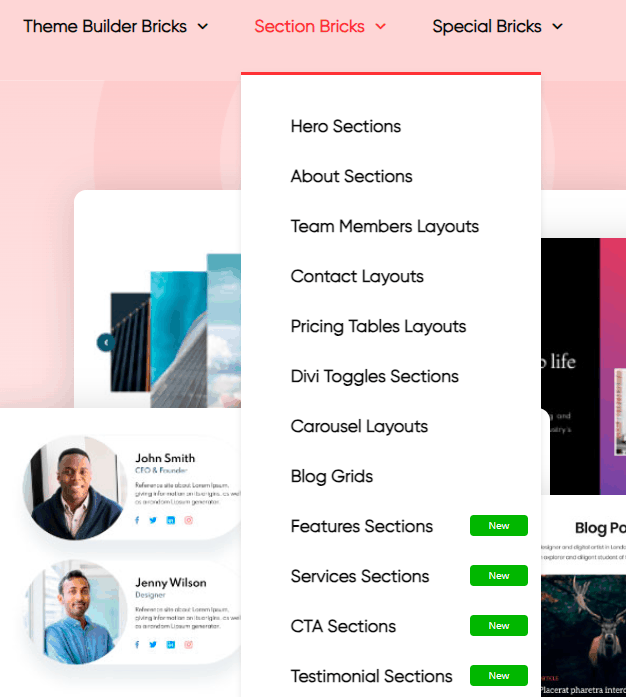 Sample layouts for Divi Bricks