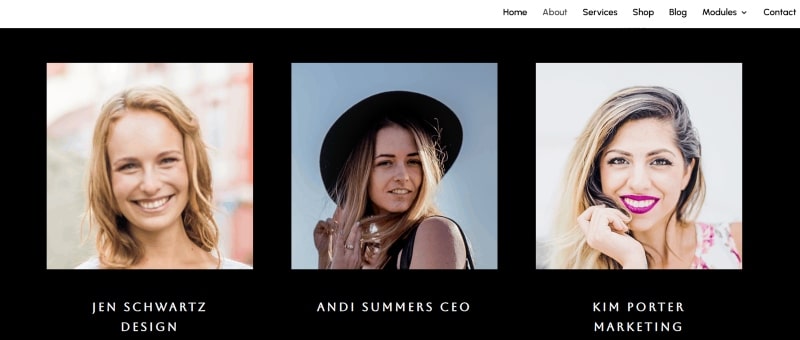 Divi Mega Pro mega menu example