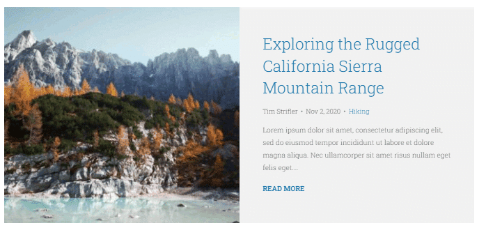 Divi Bricks Blog Layout example 2