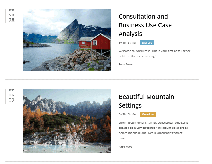 Divi Bricks Blog Layout example 4