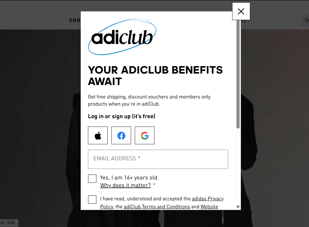 Lightbox popup example
