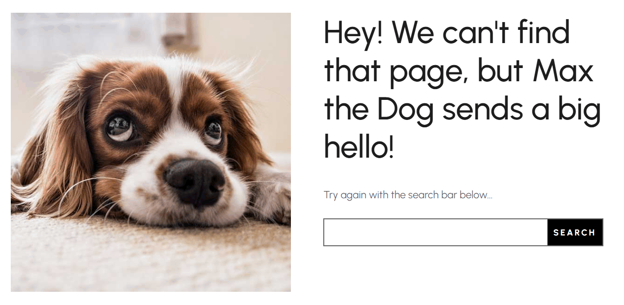 Native Divi 404 page example