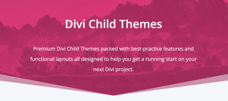 Divi Life premium child themes homepage