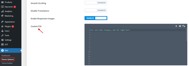 Adding custom CSS to Divi Theme Options