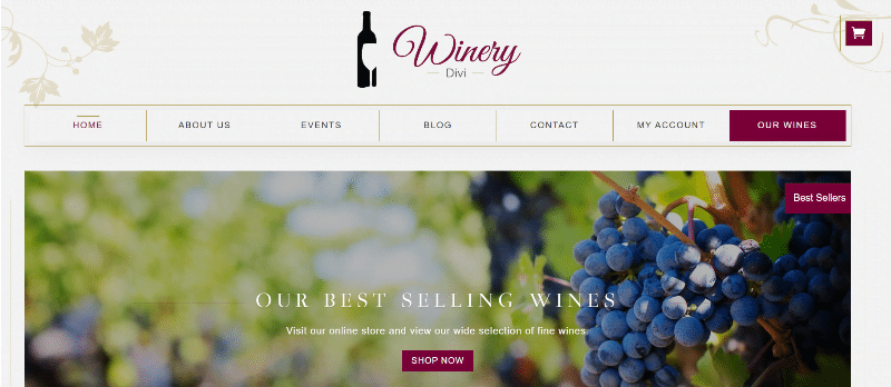 Divi Winery theme